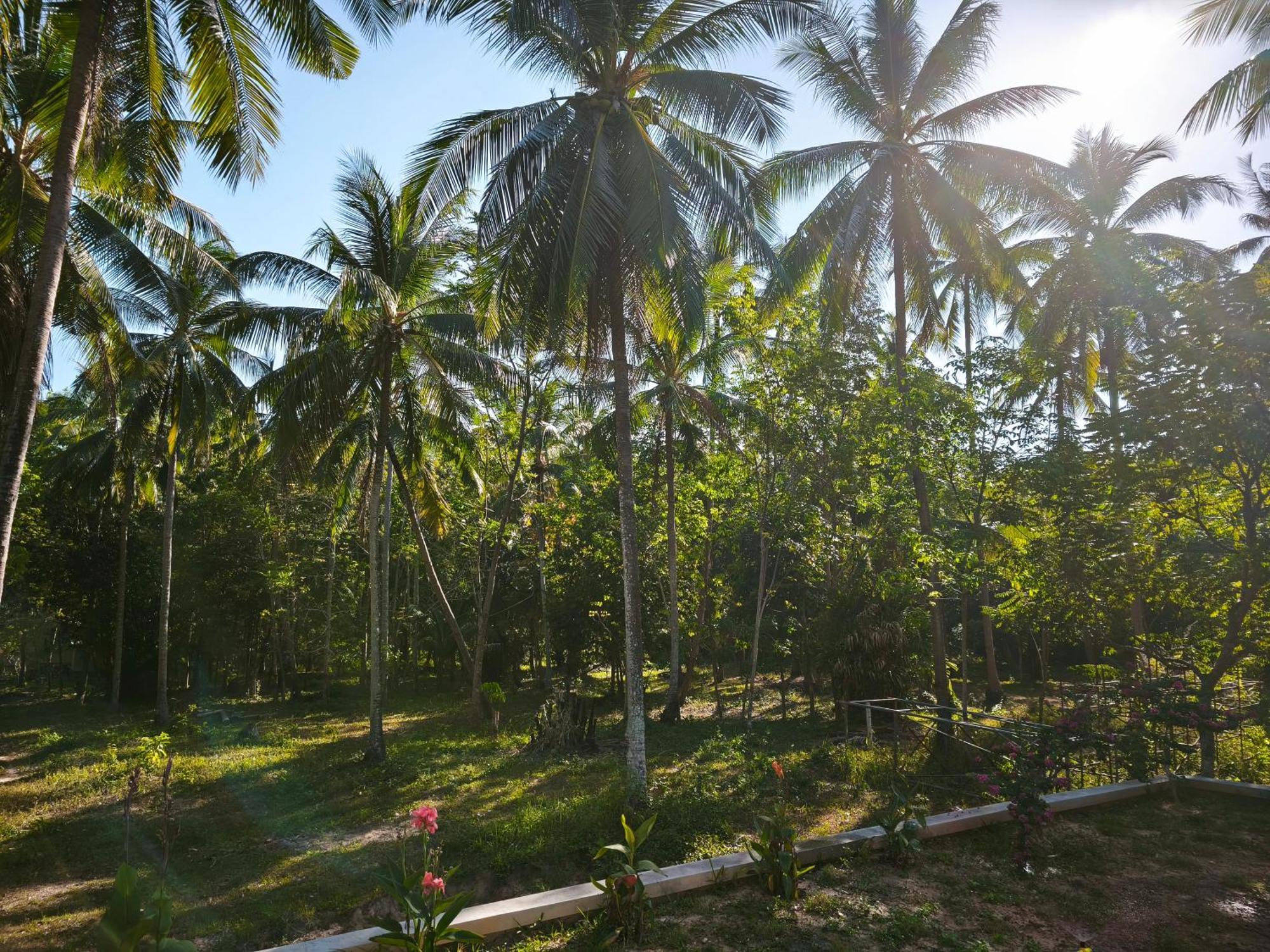 The Secret Garden Homestay Koh Yao Yai Ko Yao Yai Bagian luar foto