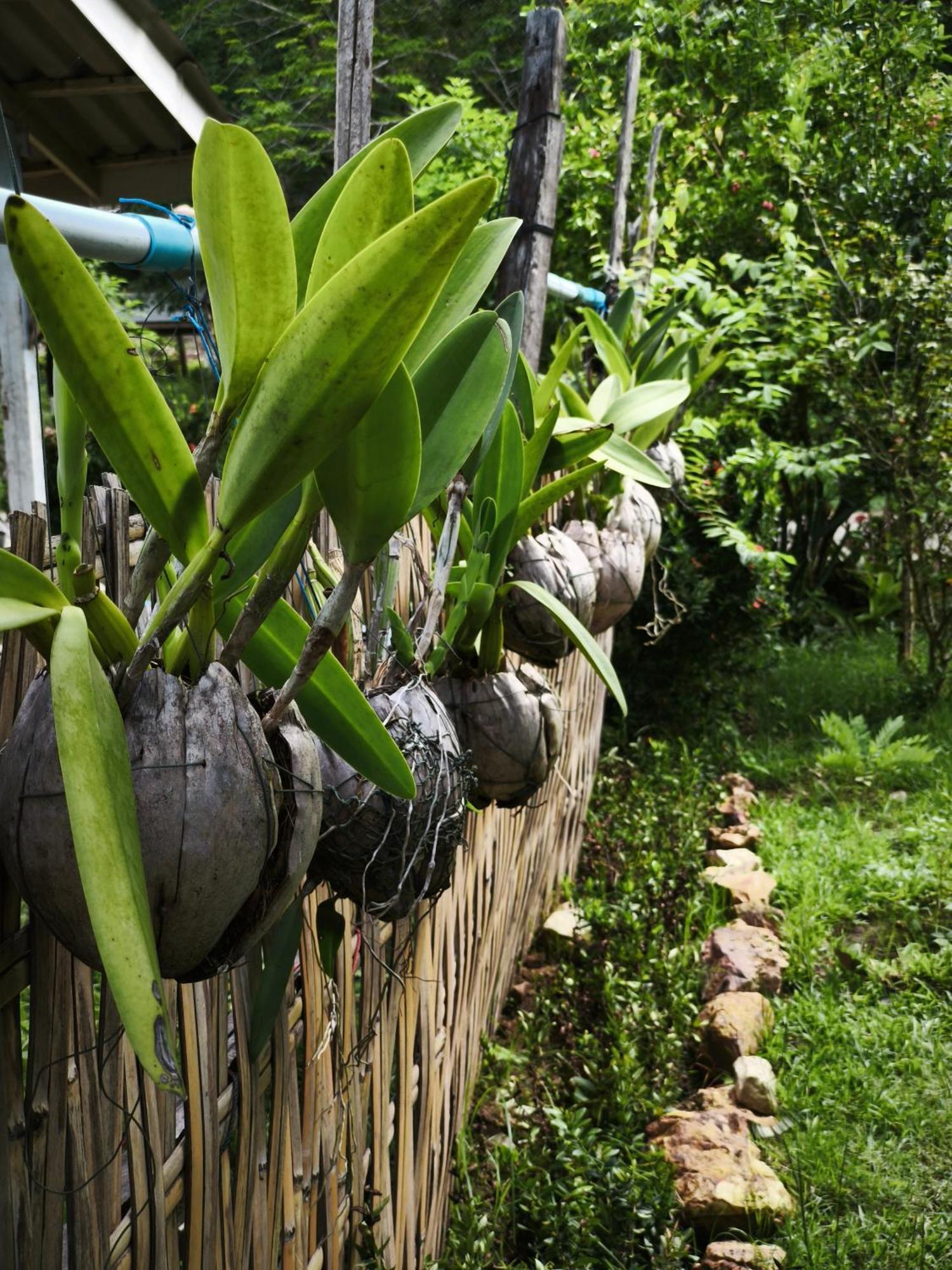 The Secret Garden Homestay Koh Yao Yai Ko Yao Yai Bagian luar foto